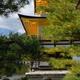 Shiny Golden Pavilion of Kinkaku-ji Rokuon-ji Zen Buddhist temple behi... (thumbnail)