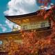 Beautiful shiny Golden Pavilion of Kinkaku-ji Zen temple behind red au... (thumbnail)