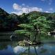 Panoramic landscape scenery of pine trees in a pond at Rokuon-ji Japan... (thumbnail)