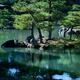 Tranquil scenery of pine trees reflecting in the water of a pond at Ro... (thumbnail)