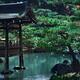 Fishing deck on a pond of a historic Japanese temple Kinkaku-ji... (thumbnail)