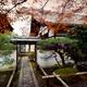 Inner courtyard garden at Daitoku-ji temple in Kyoto... (thumbnail)