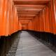 Senbon torii passage of Torii gates leading to the outer shrine of Fus... (thumbnail)