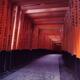 Senbon torii long passage of Torii gates at Fushimi Inari-Taisha Shrin... (thumbnail)