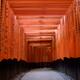 Senbon torii passage at Fushimi Inari shrine in Kyoto... (thumbnail)