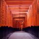 Long passage Senbon Torii leading to the outer shrine of Fushimi Inari... (thumbnail)