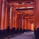 Senbon torii long path of Torii gates at Fushimi Inari... (thumbnail)