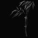 Illustration of a bamboo stalk with leaves Japanese Zen art in black a... (thumbnail)