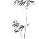 Bamboo stalk with branches and leaves Japanese Zen Sumi-e illustration... (thumbnail)
