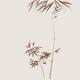 Elegant bamboo stalks with leaves Zen Sumi-e style illustration brown... (thumbnail)