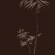 Elegant brown Zen design art of Bamboo stalks with leaves... (thumbnail)