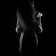 Sensual nude couple standing in an embrace naked bodies silhouette bla... (thumbnail)