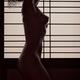 Silhouette of a beautiful nude woman standing by shoji window... (thumbnail)