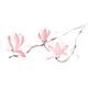 Pink Magnolia blossoms branch with three flowers Japanese Zen Sumi-e d... (thumbnail)