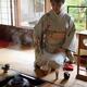 Japanese tea house tea ceremony master pouring hot water into a matcha... (thumbnail)