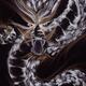 Closeup of a fierce dragon face sumi-e ink painting on black... (thumbnail)