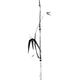 Minimalistic bamboo branch with leaves sumi-e style illustration black... (thumbnail)