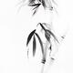 Minimalistic zen sumi-e ink painting of bamboo stalks with bushy leave... (thumbnail)