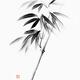 Zen black ink on white rice paper bamboo sumi-e painting illustration... (thumbnail)