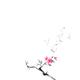 Delicate minimalistic sakura branch with pink flowers sumi-e oriental... (thumbnail)