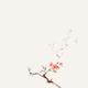 Delicate minimalistic brown sakura branch with coral red flowers on be... (thumbnail)
