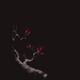 Enchanting oriental artwork of a budding sakura branch with deep viole... (thumbnail)