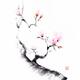 Sumi-e painting of a budding cherry blossom branch with budding flower... (thumbnail)