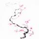 Delicate curvy cherry blossom branch with gentle pink blossoms sumi-e... (thumbnail)