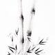 Asian sumi-e black ink painting of bamboo stalks with root branches... (thumbnail)