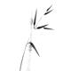 Single bamboo stalk and a branch with leaves asian black and white des... (thumbnail)