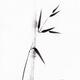 Single bamboo stalk and a branch with leaves sumi-e black ink painting... (thumbnail)
