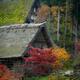 Traditional Japanese Gasshou-style rural houses at Hida Folk Village G... (thumbnail)