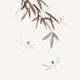 Three dragonflies flying with bamboo branches artistic sumi-e illustra... (thumbnail)