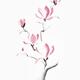 Charming sumi-e ink painting of magnolia branch with large pink flower... (thumbnail)