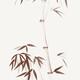 Bamboo stalk and a young root shoot with bushy leaves asian illustrati... (thumbnail)
