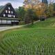 Round rice paddy field at a traditional Japanese Gassho style house at... (thumbnail)