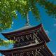 Hida Kokubunji Temple Pagoda under a Ginkgo tree... (thumbnail)