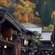 Symbol of a Sake brewery in Japan cedar ball Sugidama on a sake maker... (thumbnail)