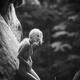 Nude woman with long white hair leaning against the rocks in the natur... (thumbnail)