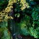 Sengetsusen small waterfall in Ginkaku-ji Temple Zen garden nature sce... (thumbnail)
