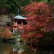 Autumn scenery of Bentendo Hall reflecting in a pond at Daigoji temple... (thumbnail)