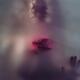 Dream-like ghostly sensual woman face with red rose behind a hazy fogg... (thumbnail)
