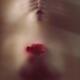 Mysterious abstract sensual portrait of woman with her eyes closed by... (thumbnail)