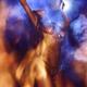 Nude aboriginal tribal woman purification ritual with a shamanic drum... (thumbnail)