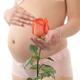 Pregnant Woman Holding a Red Rose... (thumbnail)