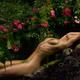Erotic portrait of a beautiful sexy woman with wet naked body lying in... (thumbnail)