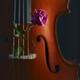 Cello closeup with a rose between the strings Romantic still life in d... (thumbnail)