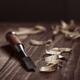 Closeup of Chisel and wood shavings Carpentry still life... (thumbnail)