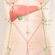TCM Liver and Gallbladder meridian acupuncture points... (thumbnail)