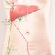 TCM Liver and Gallbladder meridians and acupuncture points Conceptual... (thumbnail)